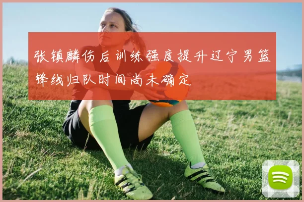 张镇麟伤后训练强度提升辽宁男篮锋线归队时间尚未确定