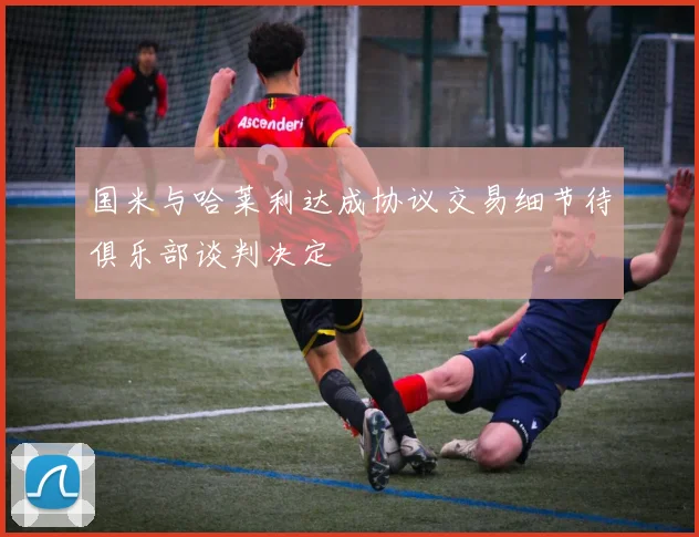国米与哈莱利达成协议交易细节待俱乐部谈判决定