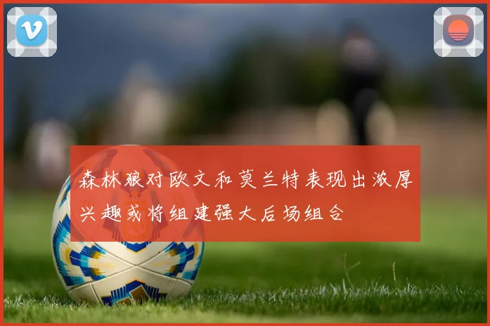 森林狼对欧文和莫兰特表现出浓厚兴趣或将组建强大后场组合