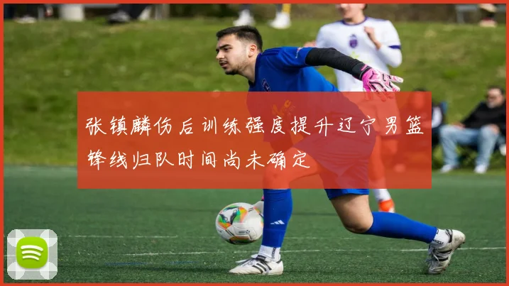 张镇麟伤后训练强度提升辽宁男篮锋线归队时间尚未确定