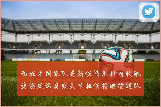 西班牙国家队更新伤情尼科内收肌受伤皮诺肩锁关节扭伤将继续随队训练